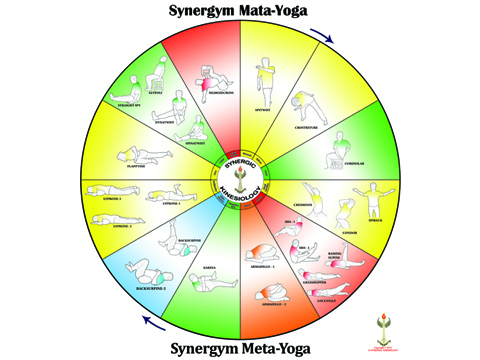 Meta-Yoga